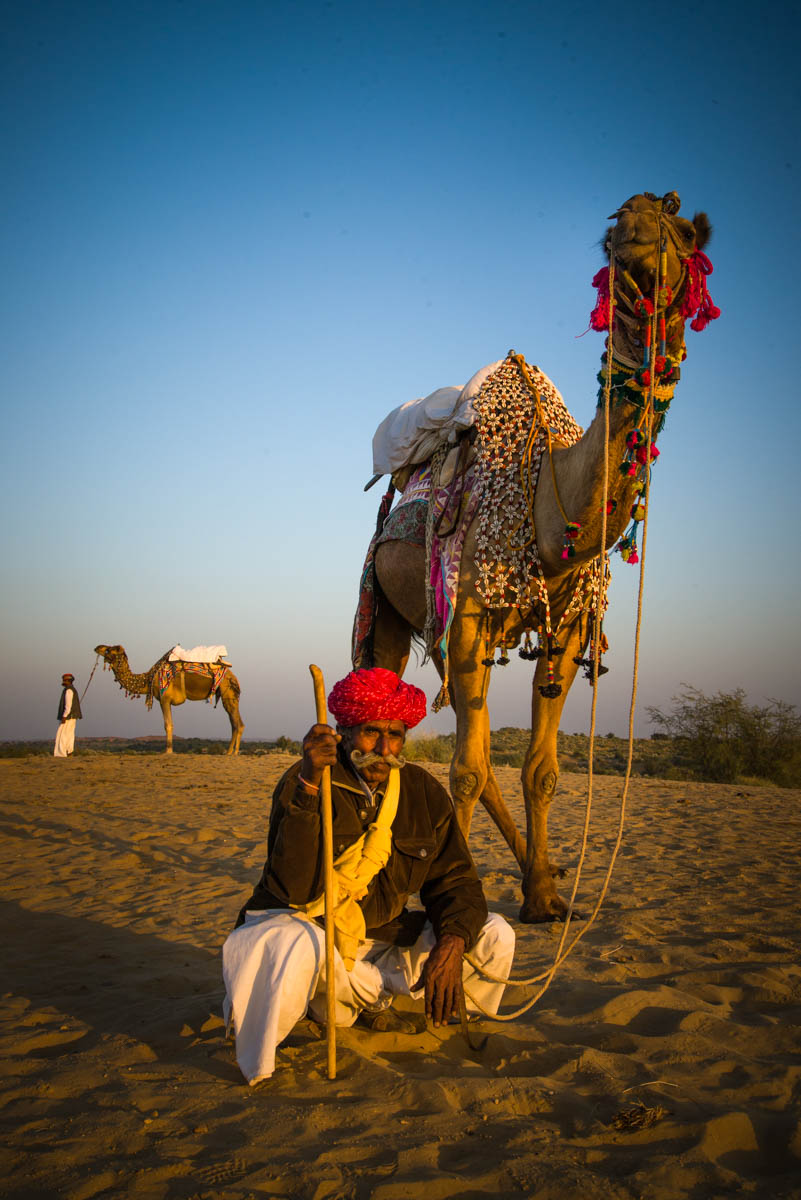 Barsingha, Thar desert 