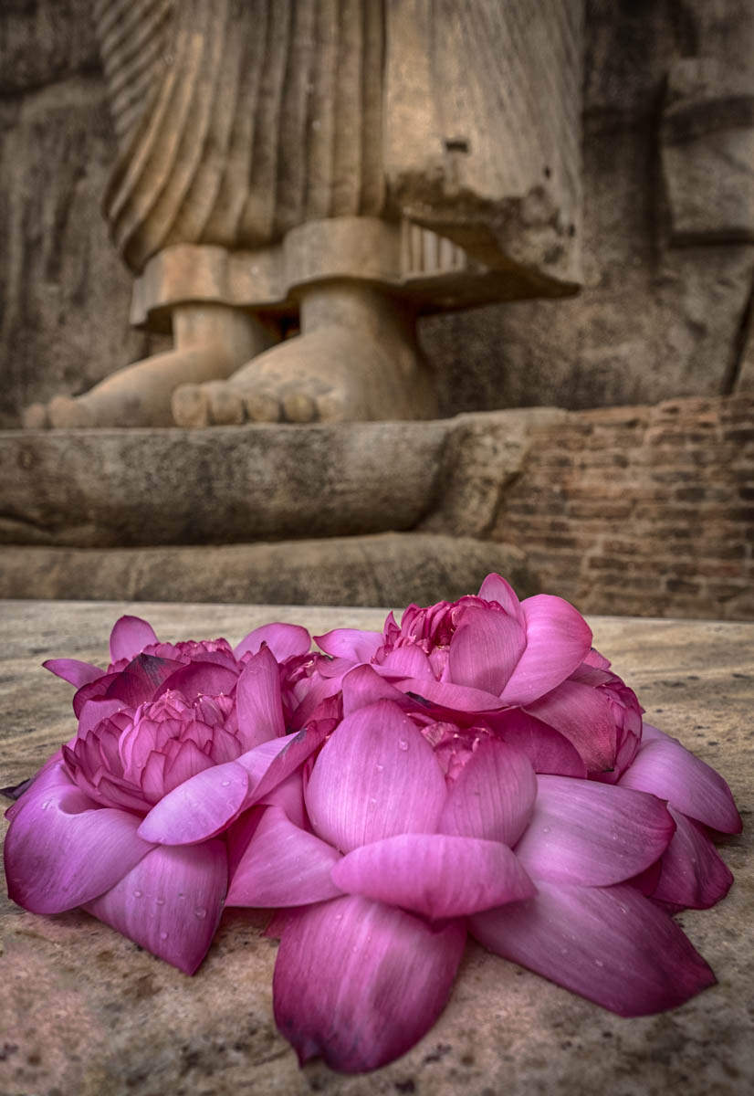 Aukana, Standing Buddha