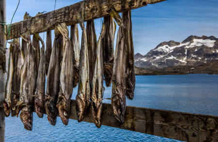 Tasillaq, East 
Greenland 