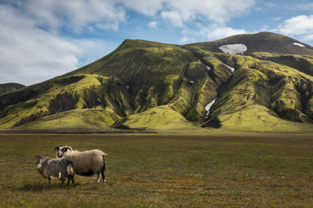 Iceland 2014