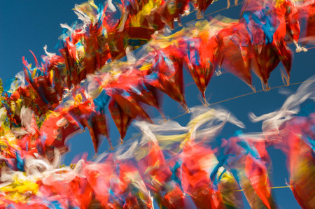 Taktshang prayer flags