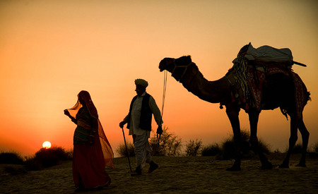 Barsingha ,Thar desert