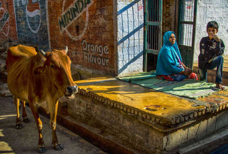 Jaisalmer