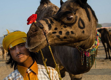 Pushkar