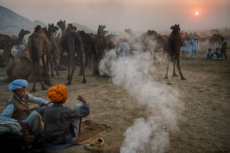 Pushkar