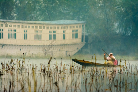 Srinagar, Kashmir, Dal Lake