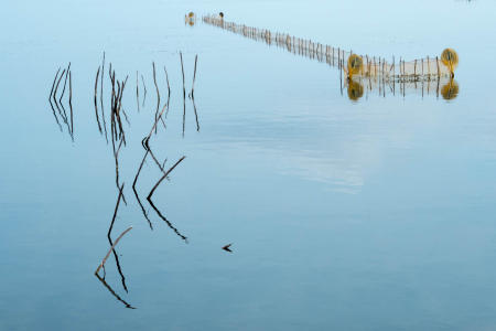 Jaffna, shrimp farm