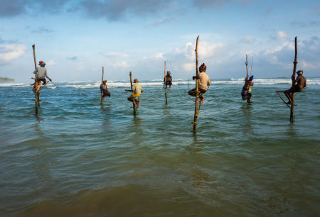 Ahangama Stilt fisherman