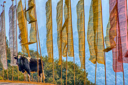 On the road to Bumthang