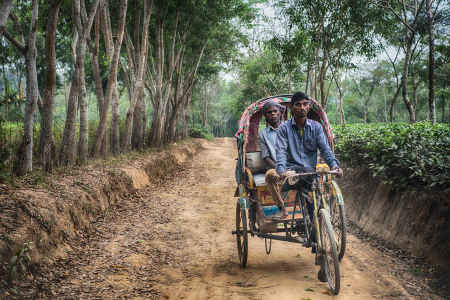 Srimangal, Bangladesh
