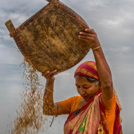 Balihata Sorail area, Bangladesh