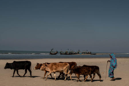 Cox's Bazaar, Bangladesh