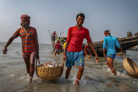 Sundarbans, Bangladesh