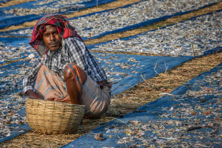 Sundarbans, Bangladesh