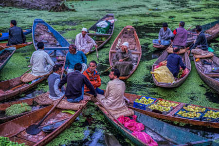 Srinagar, Dal Lake