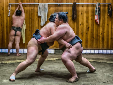 Sumo Wrestlers, Tokyo