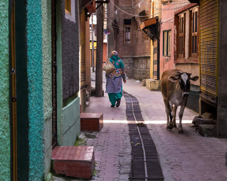 Srinagar 2015