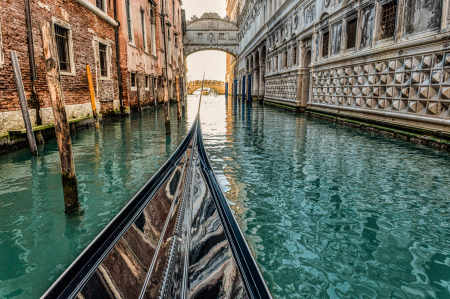 Venice 2026